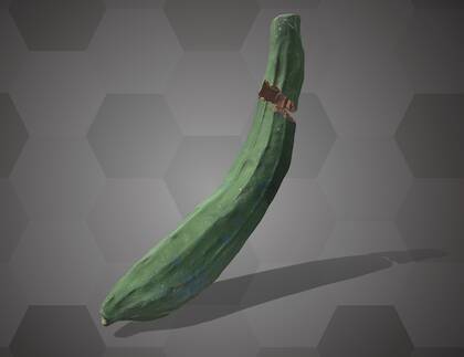 Picture of 3D model of a cucumber model (NHMW-AFW-DING-0046-030)