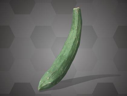 Picture of 3D model of a cucumber model (NHMW-AFW-DING-0046-031)