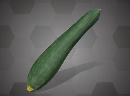 Picture of 3D model of a cucumber model (NHMW-AFW-DING-0046-130)