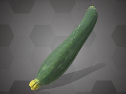 Picture of 3D model of a cucumber model (NHMW-AFW-DING-0046-134)