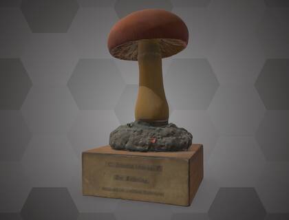 Picture of 3D model of Amanita caesarea