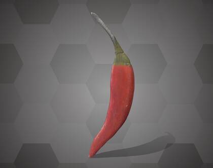 Picture of 3D model of a chili pepper model (NHMW-AFW-DING-0046-069)