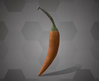 Picture of 3D model of a chili pepper model (NHMW-AFW-DING-0046-070)