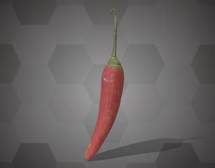 Picture of 3D model of a chili pepper model (NHMW-AFW-DING-0046-073)