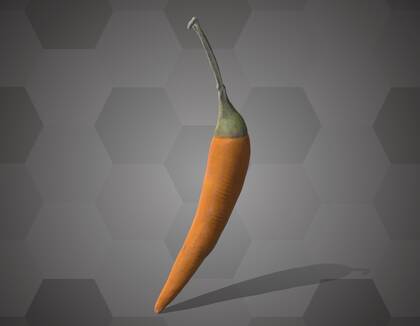 Picture of 3D model of a chili pepper model (NHMW-AFW-DING-0046-074)