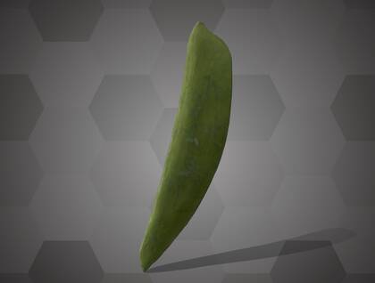 Picture of 3D model of a pea pod model (NHMW-AFW-DING-0046-027)