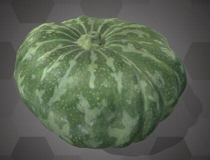 Picture of 3D model of a pumpkin model (NHMW-AFW-DING-0046-171)