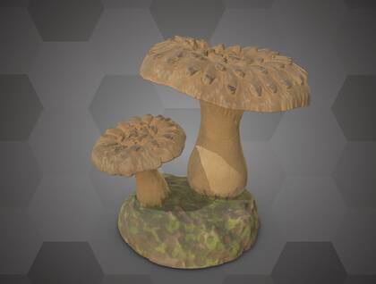 Picture of 3D model of a Hydnum imbricatum model