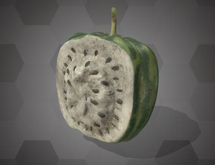 Picture of 3D model of a watermelon model (NHMW-AFW-DING-0046-124)