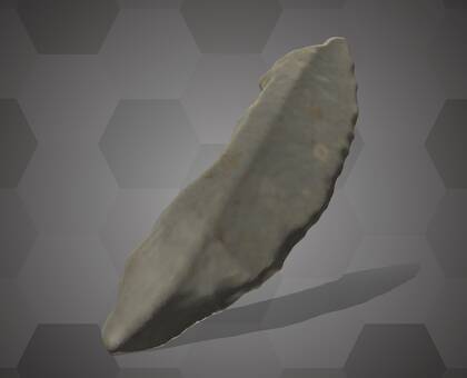 Picture of 3D model of a notched backed point from the Willendorf II site