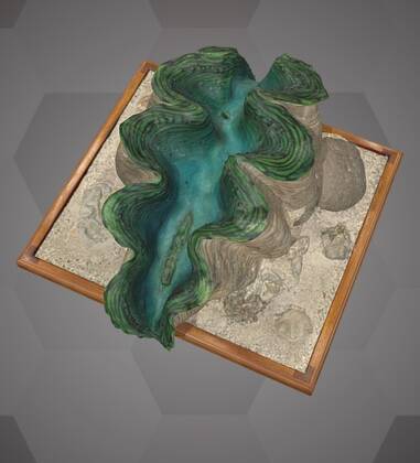 Image of the 3D Model of a Giant Clam