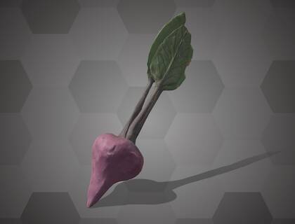 Picture of 3D model of a beetroot model (NHMW-AFW-DING-0046-028)