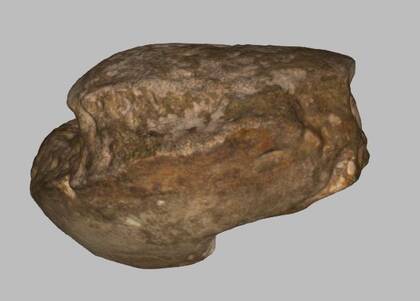 Picture of the 3D model of an astragalus of Mammuthus primigenius (NHMW-GEO-1980-0029-0036)