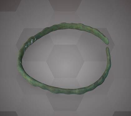 Picture of the 3D model of a bronze bracelet