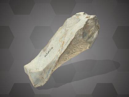 Picture of 3D model of a core from layer 5 of the Willendorf II site