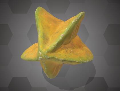 Picture of 3D model of a carambola model (NHMW-AFW-DING-0046-148)