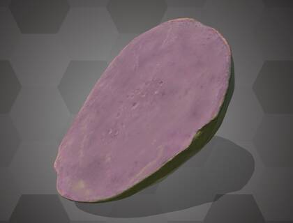 Picture of the 3D model of a guava fruit model (NHMW-AFW-DING-0046-003)