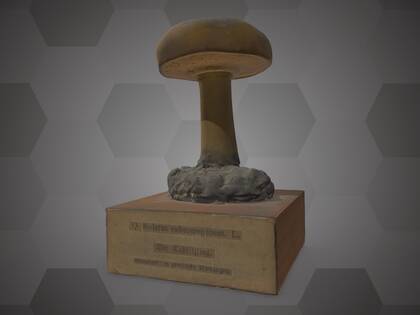 Picture of 3D model of a Boletus subtomentosus model