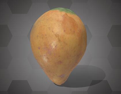 Picture of 3D model of a cacao pod model (NHMW-AFW-DING-0046-047)