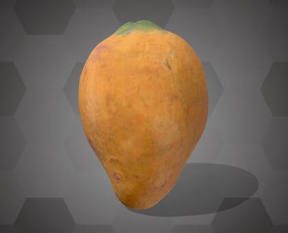 Picture of 3D model of a cacao pod model (NHMW-AFW-DING-0046-049)