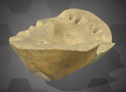 Picture of 3D model of a beal model (NHMW-AFW-DING-0046-110)