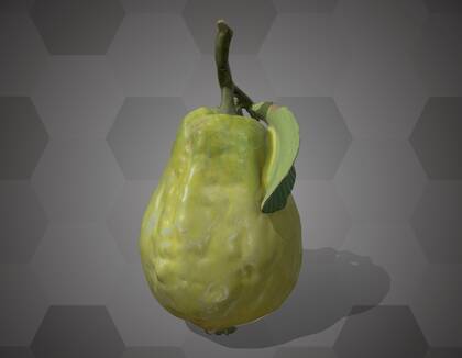 Picture of 3D model of a pear model (NHMW-AFW-DING-0046-081)