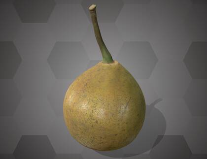 Picture of 3D model of a pear model (NHMW-AFW-DING-0046-093)