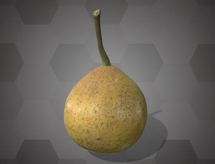 Picture of 3D model of a pear model (NHMW-AFW-DING-0046-094)