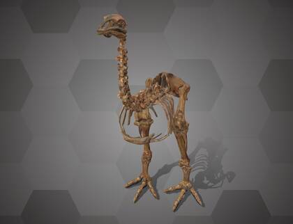 Picture of 3D model of an Eastern Moa (NHMW-GEO 2023/0331/0001)