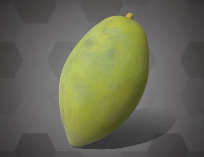 Picture of 3D model of a jujube model (NHMW-AFW-DING-0046-140)