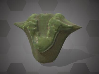 Picture of 3D model of a water caltrop fruit model (NHMW-AFW-DING-0046-146)