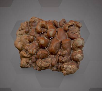 Picture of the 3D model of an aragonite