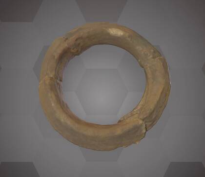 Picture of the 3D model of an amber ring