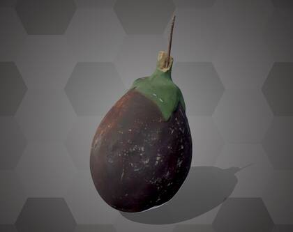 Picture of 3D model of an eggplant model (NHMW-AFW-DING-0046-116)