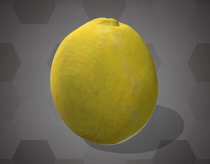 Picture of 3D model of a sweet lime model (NHMW-AFW-DING-0046-062)