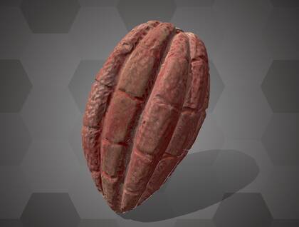 Picture of 3D model of a cacao pod model (NHMW-AFW-DING-0046-107)