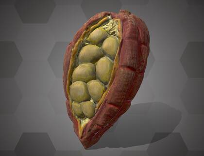 Picture of 3D model of a cacao pod model (NHMW-AFW-DING-0046-108)